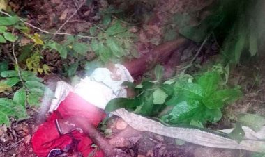 हाथियों का कहर जारी, हाथी ने चरवाहों पर किया हमला, एक चरवाहे को पटक-पटककर मार डाला, दूसरे ने भागकर बचाई जान, जंगल में दहशत