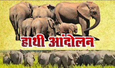 हाथियों के आतंक से परेशान मैनपुर क्षेत्र के ग्रामीण 16 अक्टूबर को वन विभाग कार्यालय का घेराव कर करेंगे उग्र आंदोलन