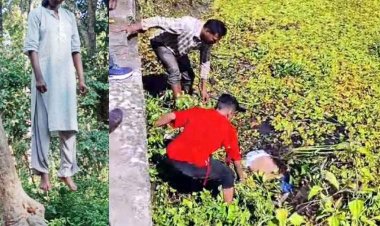 युवती की पेड़ से लटकता मिला शव, कारण अज्ञात, नगर पालिका की टीम तालाब की सफाई के दौरान मिली युवक की लाश, इलाके में फैली सनसनी