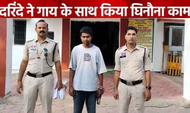 छत्तीसगढ़ में सनसनीखेज मामले का खूलासा, युवक ने गौ माता के साथ किया कुकृत्य, आरोपी दीपचन्द्र गिरफ्तार, घटना सीसीटीवी में रिकार्ड