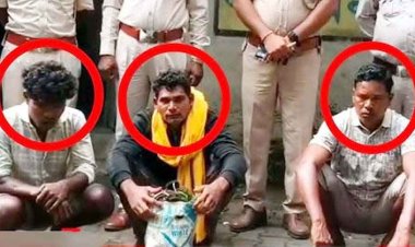 शिकारियों ने जंगली सुअर को मारने लगाया करंट, चपेट में दंतेल हाथी की मौत, भाजपा नेत्री के पति बसंत राठिया समेत तीन आरोपी गिरफ्तार