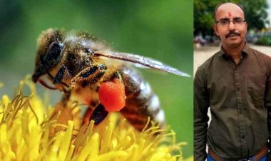 मधुमक्खियों ने किया जानलेवा हमला, हमले में बीजेपी नेता की गई जान, परिवार में पसरा मातम, भाजपा नेताओं में दौड़ी शोक की लहर