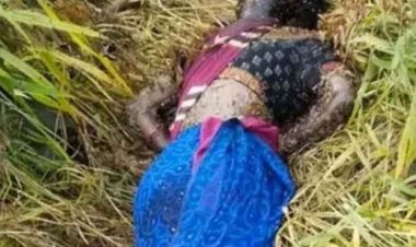 वन्यप्राणी को मारने लगाए गए करंट तार की चपेट में आने से मौत, महिला की जंगल में मिली लाश, मौके से तार और अन्य सामान बरामद