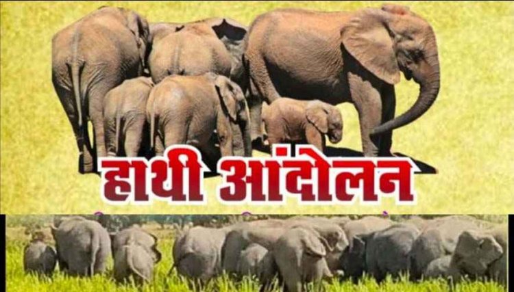 हाथियों के आतंक से परेशान मैनपुर क्षेत्र के ग्रामीण 16 अक्टूबर को वन विभाग कार्यालय का घेराव कर करेंगे उग्र आंदोलन