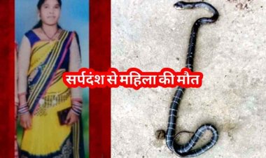 खेत में बने घर पर सर्पदंश से महिला की मौत, सांप के डसने से दो दिन में दूसरी घटना के बाद ग्रामीणों में दहशत का माहौल