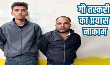 रायपुर में गौवंश तस्करी पर बड़ी कार्रवाई, 30 मवेशियों को पकड़कर नागपुर ले जा रहे 2 आरोपी गिरफ्तार, फरार एक साथी की तलाश जारी