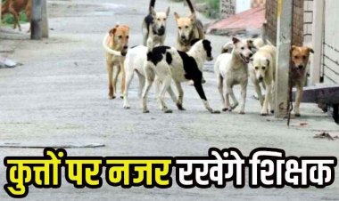 छत्तीसगढ़ में अब आवारा कुत्तों पर नजर रखने स्कूल प्रिंसिपल की ड्यूटी, आवारा कुत्ते अब शिक्षकों के हवाले, DPI ने जारी किया आदेश