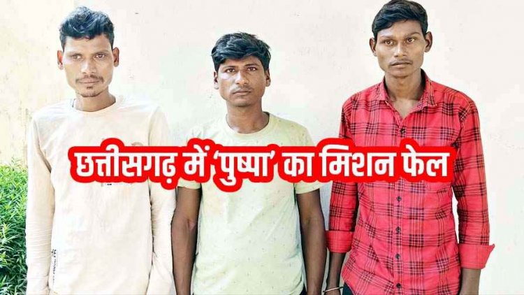 पुष्पा मूवी जैसी सागौन तस्करी का पर्दाफाश, उड़ीसा के तीन तस्कर गिरफ्तार, 3 फरार, तलाश जारी, वन विभाग की टीम को मिली बड़ी कामयाबी