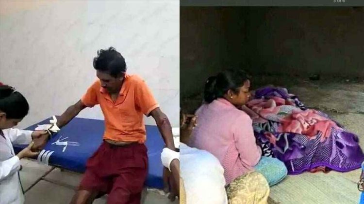 हाथी ने ली दादी की जान गई, पोती गंभीर, दहशत में पूरा गांव, इधर खेत में धान देखने गए ग्रामीण पर भालू ने किया जानलेवा हमला