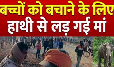 जान जोखिम में डाल मां ने हाथी से छीन लिया बच्चा, लेकिन नहीं बचा पाई 5 माह के मासूम की जान, गांव में मातम और वन विभाग के खिलाफ आक्रोश