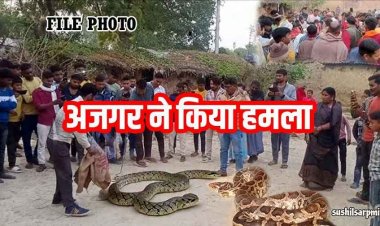 शौच के लिए युवक गया तालाब, झाड़ियों में छिपे अजगर ने अचानक किया हमला, दर्दनाक मौत के बाद इलाके में दहशत का माहौल