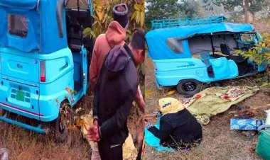 तेज रफ्तार ई-रिक्शा अनियंत्रित होकर पलटी, हादसे में छह लोग घायल, घायलों का अस्पताल में इलाज जारी, धुंध के कारण हुआ दर्दनाक हादसा