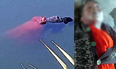 महानदी में तैरती मिली अज्ञात महिला की लाश, नहीं हो पाई शिनाख्त, इलाके में फैली सनसनी, जांच में जुटी पुलिस, पूछताछ जारी