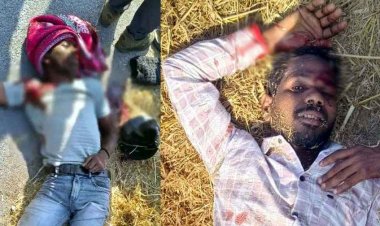 भीषण सड़क हादसा, बाइक-ट्रैक्टर की आमने-सामने टक्कर, दो युवकों की दर्दनाक मौत, एक घायल, टक्कर में हेलमेट भी टूटा, पसरा मातम