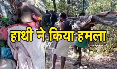 मवेशी चराने जंगल गए अधेड़ पर हाथी ने किया जानलेवा हमला, ग्रामीण की मौत से इलाके में दहशत का माहौल, ग्रामीणों को सतर्क रहने की अपील