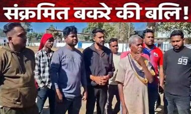 पूजा में रैबीज संक्रमित कुत्ते के काटे बकरे की बलि, 400 गांव वालों ने खाया मांस,  आज जांच के लिए लगाया जाएगा कैंप, ग्रामीणों में मचा हड़कंप