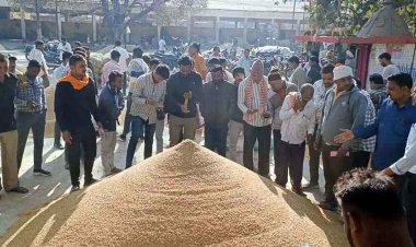 छत्तीसगढ़ की सबसे बड़ी मंडी में आर्थिक उथल-पुथल, प्रशासनिक आदेश से उपज की कम आवक, मजदूर और व्यापारियों में गुस्सा, रोजी-रोटी पर संकट