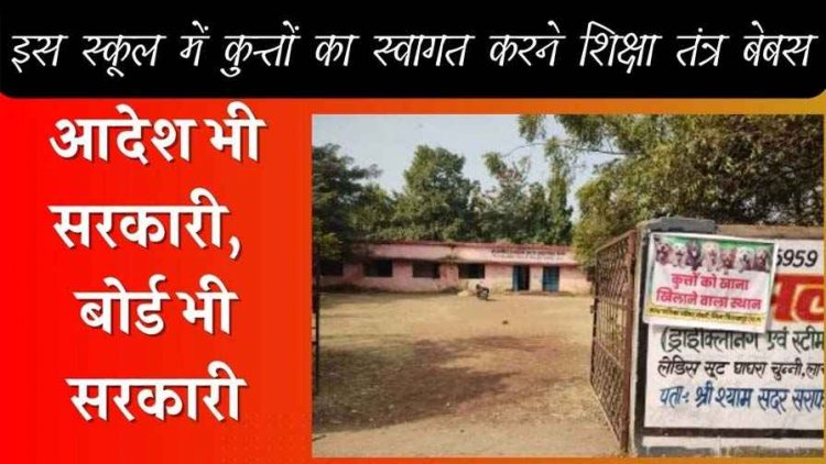इस स्कूल में कुत्तों का स्वागत करने शिक्षा तंत्र बेबस!, आदेश और बोर्ड दोनों सरकारी, संस्था प्रमुख के सामने अजीब असमंजस की स्थिति