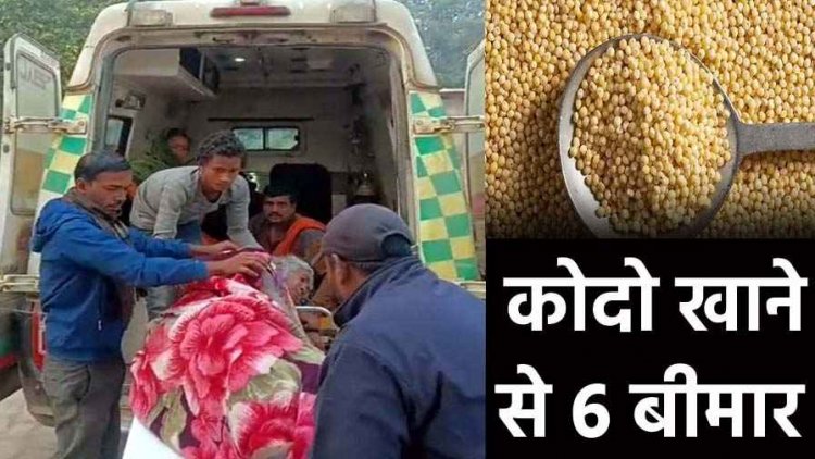 पकने के बाद जहरीला हुआ कोदो चावल, खाने से एक ही परिवार के 6 लोगों की बिगड़ी तबीयत, लोग बीमार, अस्पताल में भर्ती, मचा हड़कंप