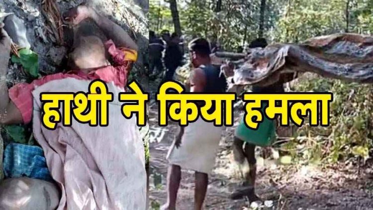 मवेशी चराने जंगल गए अधेड़ पर हाथी ने किया जानलेवा हमला, ग्रामीण की मौत से इलाके में दहशत का माहौल, ग्रामीणों को सतर्क रहने की अपील