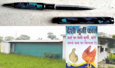 मुर्गा पार्टी का खूनी न्यू ईयर, चाकू लेकर मुर्गी लूटने पहुंचे बदमाश, नए साल का जश्न मनाने किसान को लहूलुहान कर लूट ले गए 20 देशी मुर्गे