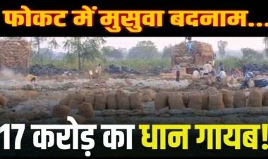 छत्तीसगढ़ में अब यहां संग्रहण केंद्रों में भारी अनियमितता का पर्दाफाश, 17 करोड़ का धान गायब, केंद्र प्रभारी पर गिरी गाज, फिर चूहे होंगे बदनाम!