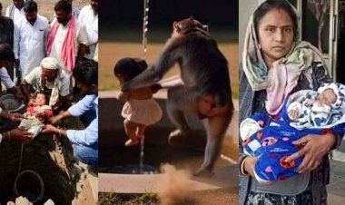 बंदर ने मां की गोद से छीनकर 20 दिन के नवजात को कुएं में फेंका, मची अफरा-तफरी, डायपर और नर्स की सूझबूझ से बची जान