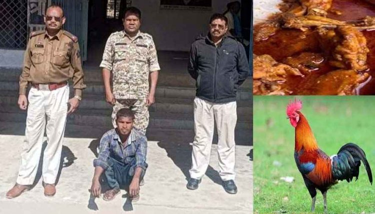 पति-पत्नी के बीच विवाद, चिकन बनाने से इंकार पत्नी को पड़ा बड़ा महंगा, पति ने फिर जो किया जानकर हो जाएंगे हैरान, आरोपी गिरधारी गिरफ्तार