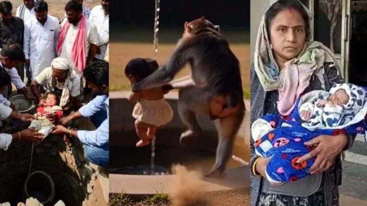 बंदर ने मां की गोद से छीनकर 20 दिन के नवजात को कुएं में फेंका, मची अफरा-तफरी, डायपर और नर्स की सूझबूझ से बची जान