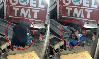 रोंगटे खड़े कर देने वाली घटना, मौत से हुआ सामना, सो रहे युवक के पास पहुंचा भालू, दिल की धड़कनें तेज, मगर जान बचाने 4 मिनट तक रोकी सांस