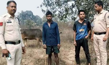 ऑपरेशन शंखनाद लगातार जारी, बूचड़खाने में बेचने के लिए ले जा रहे 8 नग गौवंश तस्करों के कब्जे से बरामद, दो मामलों में 2 आरोपी गिरफ्तार