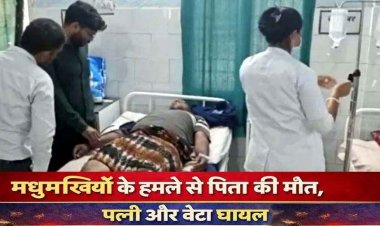 मधुमक्खियों के छत्ते पर बाज ने मारी चोंच, हमले से खेत में काम कर रहे किसान की मौत, पत्नी और बेटा घायल, हालत नाजुक, इलाके में दहशत का माहौल