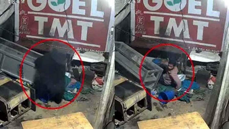 रोंगटे खड़े कर देने वाली घटना, मौत से हुआ सामना, सो रहे युवक के पास पहुंचा भालू, दिल की धड़कनें तेज, मगर जान बचाने 4 मिनट तक रोकी सांस