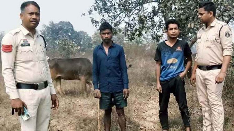 ऑपरेशन शंखनाद लगातार जारी, बूचड़खाने में बेचने के लिए ले जा रहे 8 नग गौवंश तस्करों के कब्जे से बरामद, दो मामलों में 2 आरोपी गिरफ्तार