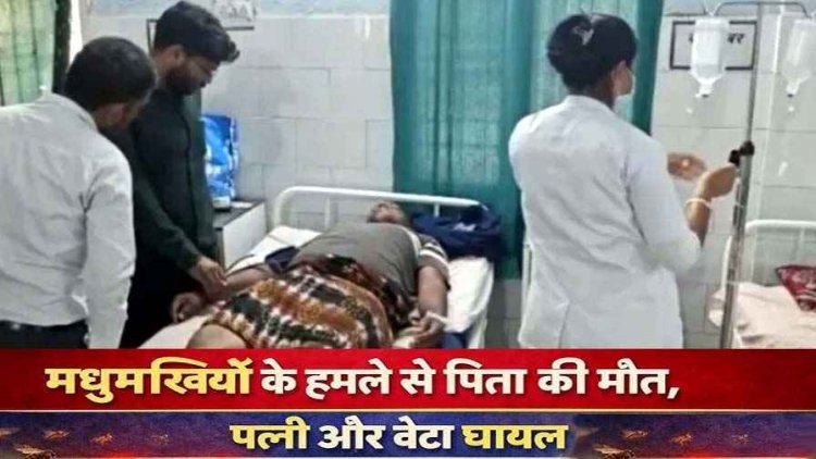 मधुमक्खियों के छत्ते पर बाज ने मारी चोंच, हमले से खेत में काम कर रहे किसान की मौत, पत्नी और बेटा घायल, हालत नाजुक, इलाके में दहशत का माहौल