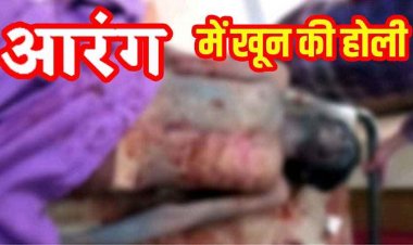 होली में हुड़दंग के बीच चाकूबाजी, दिनदहाड़े चाकू घोंपकर युवक को उतारा मौत के घाट, समाज में भारी आक्रोश, आरंग में तनाव का माहौल