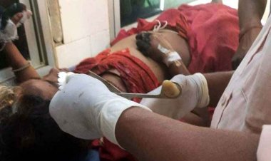 झाड़ियों में छिपा मौत का साया, महुआ बीन रही महिला पर अचानक टूट पड़ा जंगली सूअर, इलाके में दहशत का माहौल, आजीविका का साधन बना जानलेवा