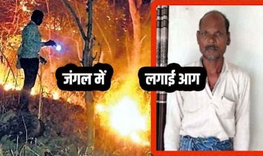 उदंती-सीतानदी टाइगर रिजर्व में आगजनी का खुलासा, 66 वर्षीय रामरतन ने माचिस से 2.499 हेक्टेयर जंगल में लगाई आग, आरोपी गिरफ्तार होकर पहुंचा जेल