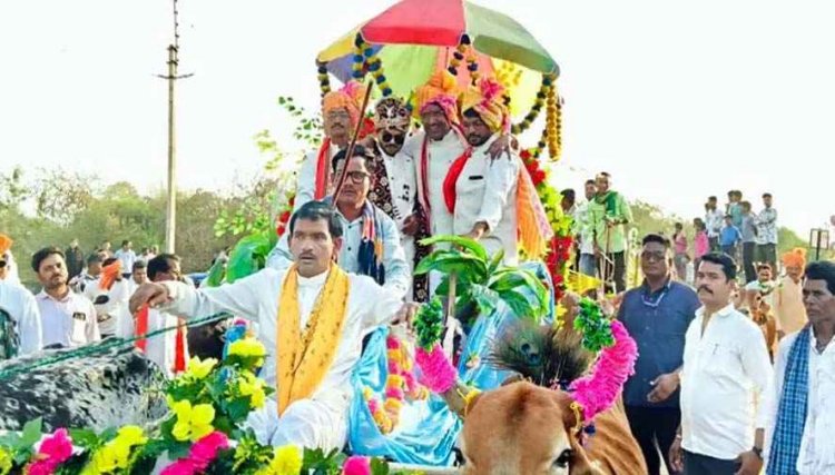 बैलगाड़ी पर सवार होकर बारात पहुंचे राजिम के विधायक रोहित साहू, बारातियों का बढ़ाया उत्साह, बारात में दिखी छत्तीसगढ़ी संस्कृति की झलक