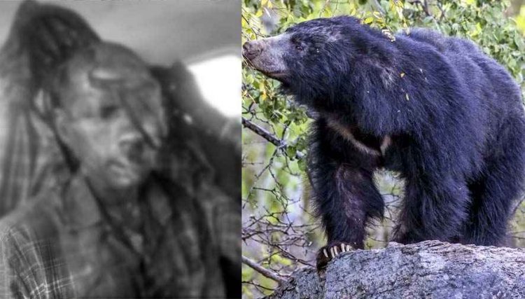 गरियाबंद के जंगल में खूनी हमला: भालू ने महुआ बीनने गए ग्रामीण को किया लहूलुहान, हालत नाजुक, रायपुर रेफर, ग्रामीणों में दहशत का माहौल