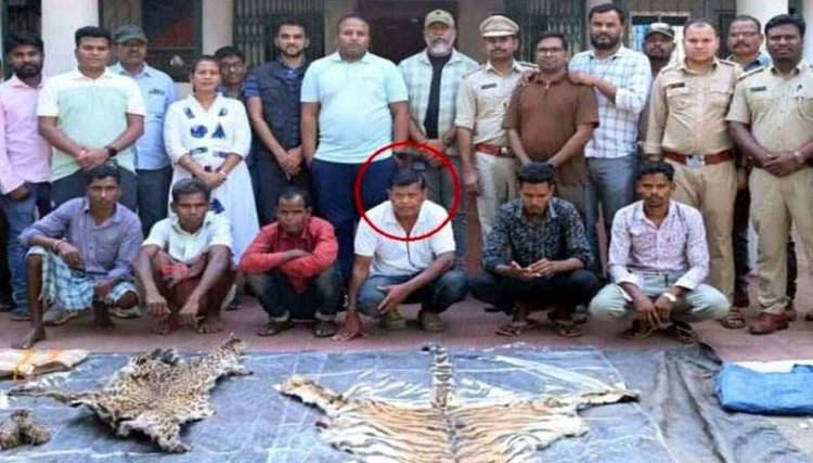 छत्तीसगढ़ में वन विभाग ने की बड़ी कार्रवाई, बाघ और तेंदुए के शिकार में शामिल डिप्टी रेंजर देवी प्रसाद सहित 9 आरोपियों को गिरफ्तार कर भेजा जेल