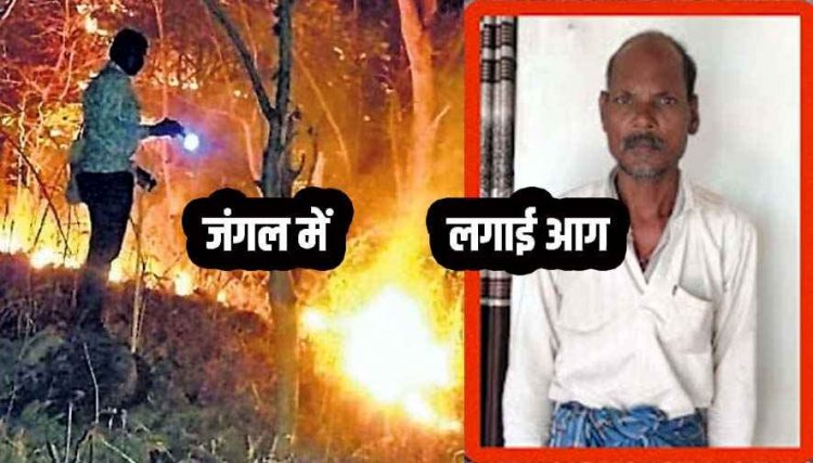 उदंती-सीतानदी टाइगर रिजर्व में आगजनी का खुलासा, 66 वर्षीय रामरतन ने माचिस से 2.499 हेक्टेयर जंगल में लगाई आग, आरोपी गिरफ्तार होकर पहुंचा जेल