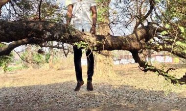बोईरगांव में 26 वर्षीय युवक ने फांसी लगाकर दे दी जान, गांव में शोक और चिंता का माहौल, मैनपुर क्षेत्र में आत्महत्या का 8वां मामला, उठ रहे कई तरह के सवाल