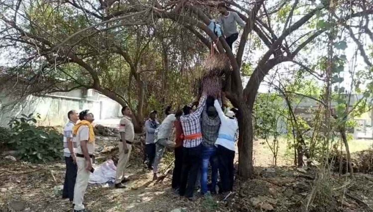 पत्नी से विवाद के बाद कैंटीन कुक ने फांसी लगाकर की खुदकुशी, इधर रेलवे स्टेशन के पास पेड़ से लटका मिला अज्ञात युवती का शव, इलाके में मचा हड़कंप