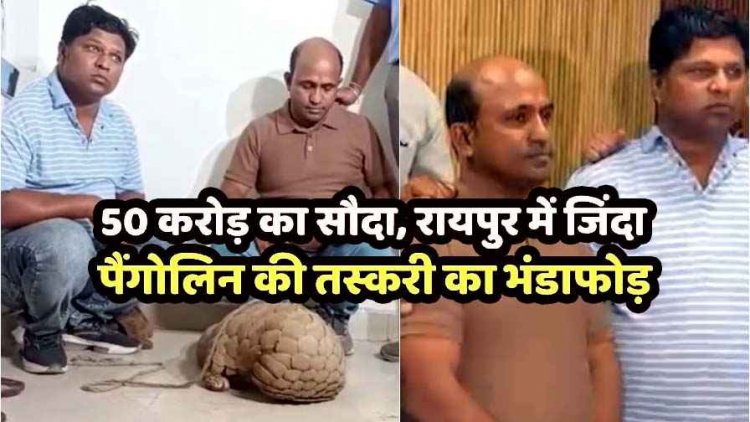 रायपुर में तस्करी का भंडाफोड़, जिंदा पैंगोलिन के साथ 2 तस्कर गिरफ्तार, 50 करोड़ के सौदे की कोशिश नाकाम, वन विभाग ने झोपड़ी से किया बरामद