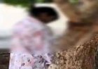 कॉलेज के पीछे पेड़ से लटका मिला 19 साल के युवक का शव, इलाके में फैली सनसनी, सुसाइड या कुछ और?, जांच में जुटी पुलिस, दोस्तों से पूछताछ जारी