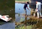 नदी में मिला अज्ञात व्यक्ति का कटा हुआ हाथ, इलाके में फैली सनसनी, बेरहमी से हत्या की आशंका, इलाके में फैली सनसनी, जांच में जुटी पुलिस, पूछताछ जारी