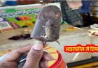 शादी में परोसी गई आइसक्रीम में निकली छिपकली, मेहमानों के उड़े होश, मची अफरा-तफरी, प्रशासन से जांच की मांग, स्वास्थ्य सुरक्षा पर उठ रहे सवाल