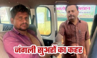 फिंगेश्वर में खेत गए किसान पर अचानक जंगली सुअर का ताबड़तोड़ हमला, हमले से  ग्रामीण गंभीर रूप से हुआ घायल, वन विभाग ने जारी किया अलर्ट