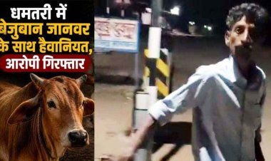 धमतरी में इंसानियत शर्मसार: गाय के साथ घिनौनी हरकत करने का आरोप, पुलिस ने आरोपी राजू को किया गिरफ्तार, इलाके में आक्रोश का माहौल